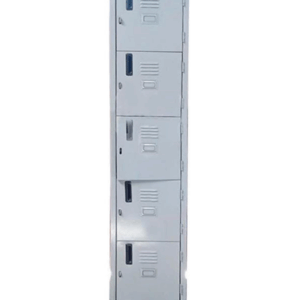 Locker de un cuerpo de 5 casillas